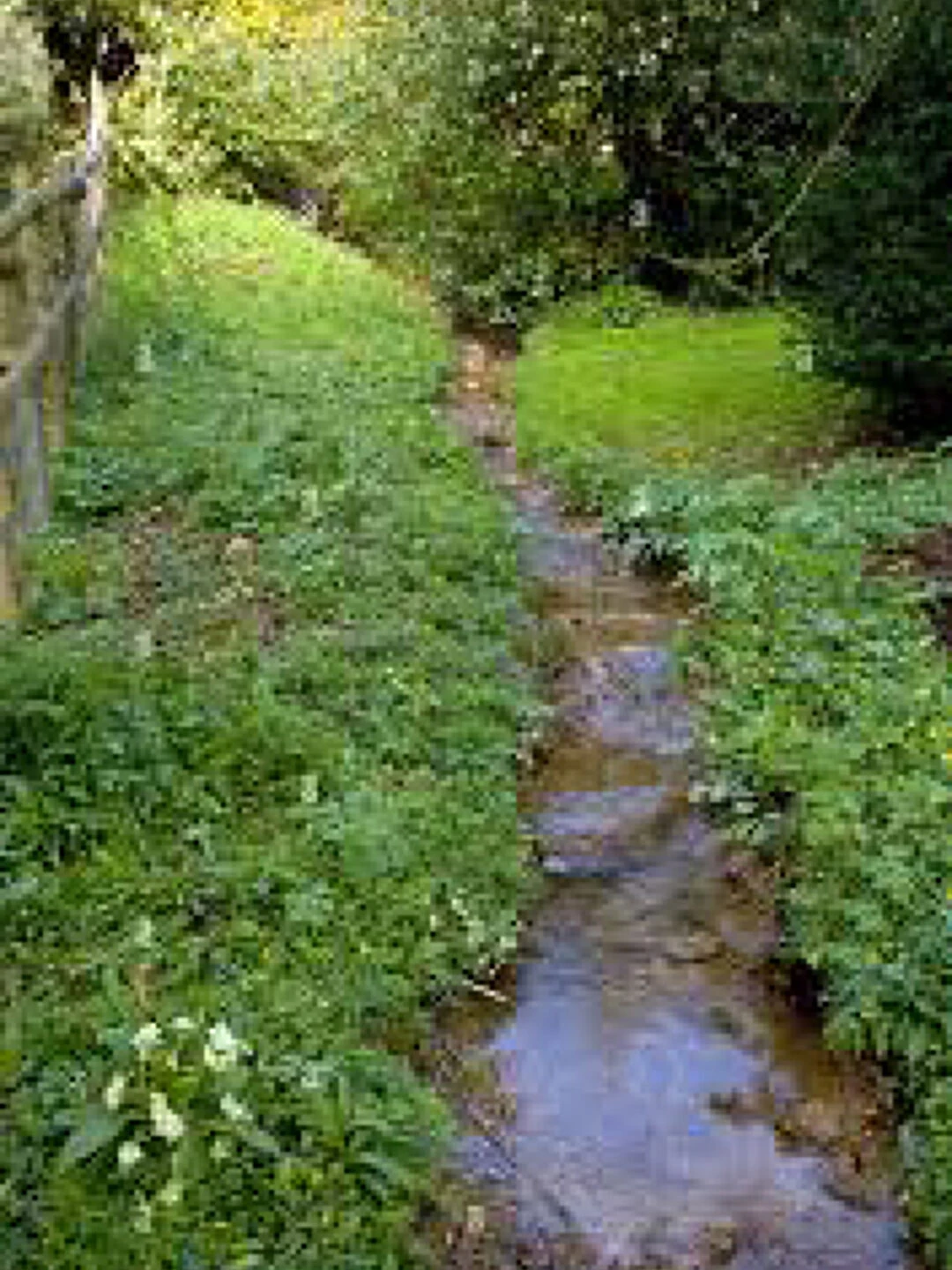stream through garden