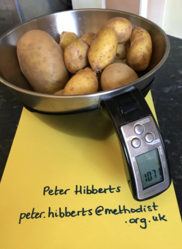 superspud weighing photo