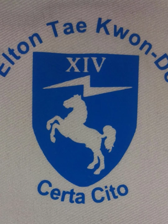 taekwon1