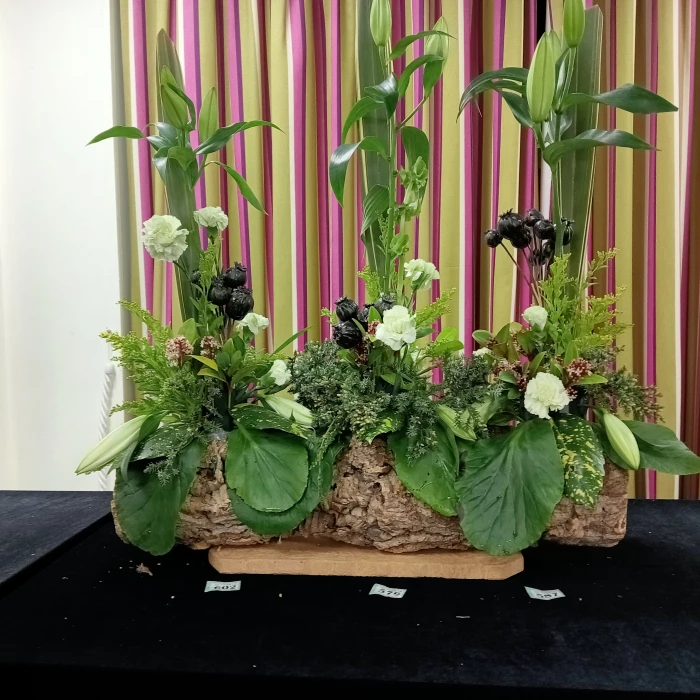 tarvin flower club  image20240313214224
