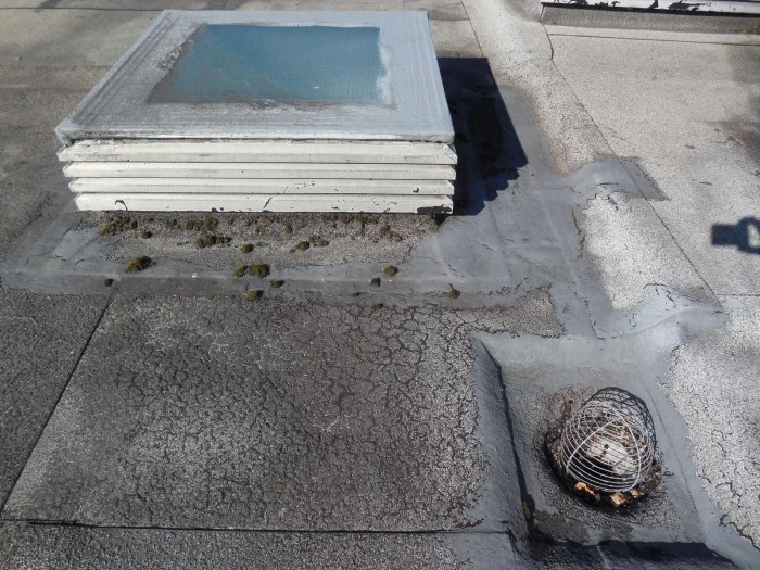 tarvin primary school roof 1