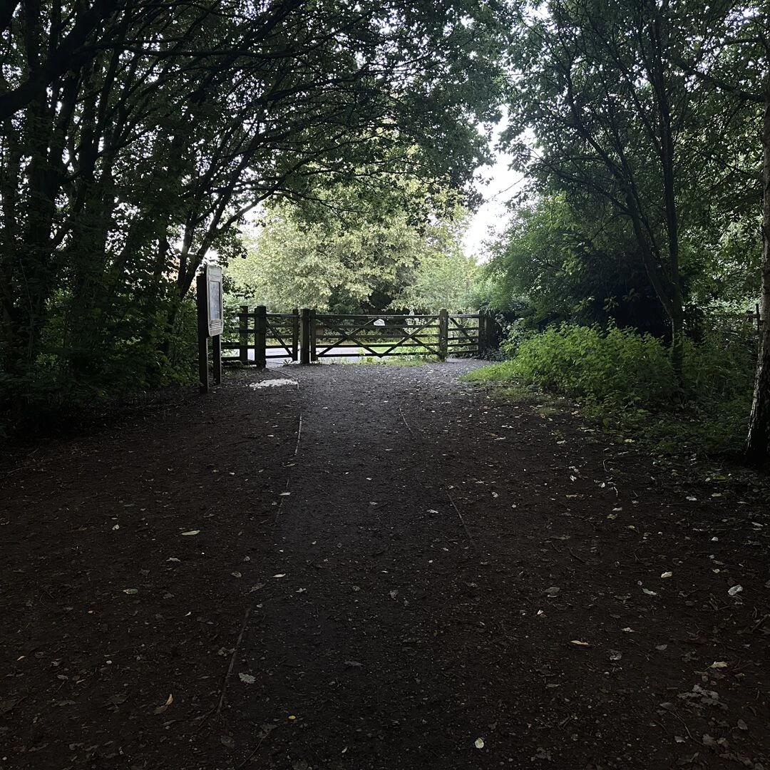 tarvin woodlands july 2025 broomheath lane gate