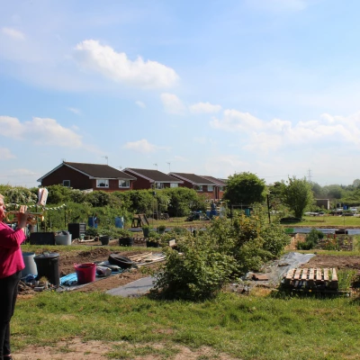 the allotments