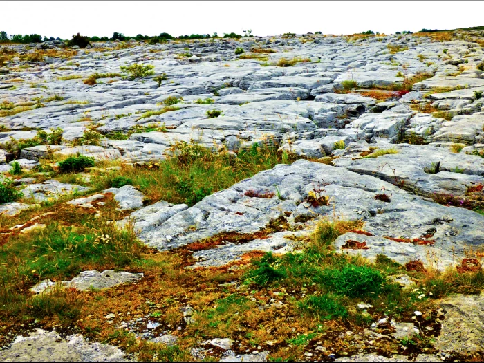 the burren