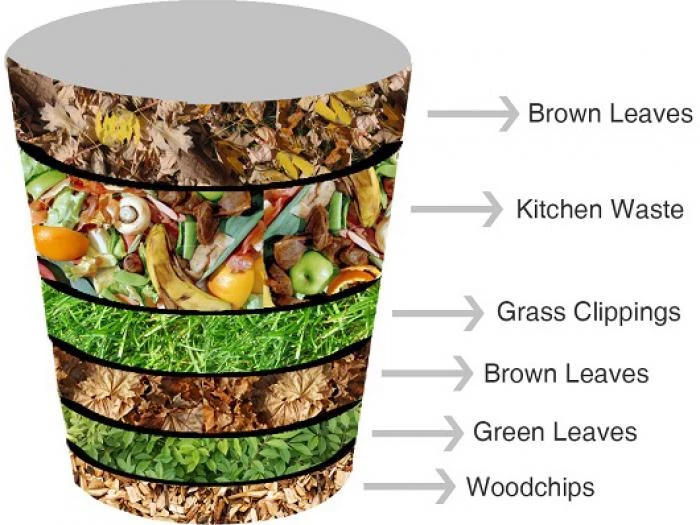thebestcompostingmaterials2