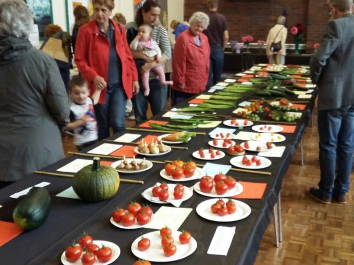 ths admiring the selection of vegitables 20170819145638resized1