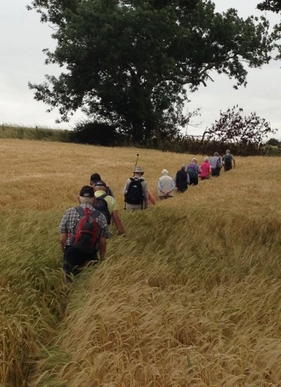 tip toe through the barley