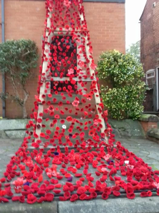 tmc poppy display 20181105162149resized