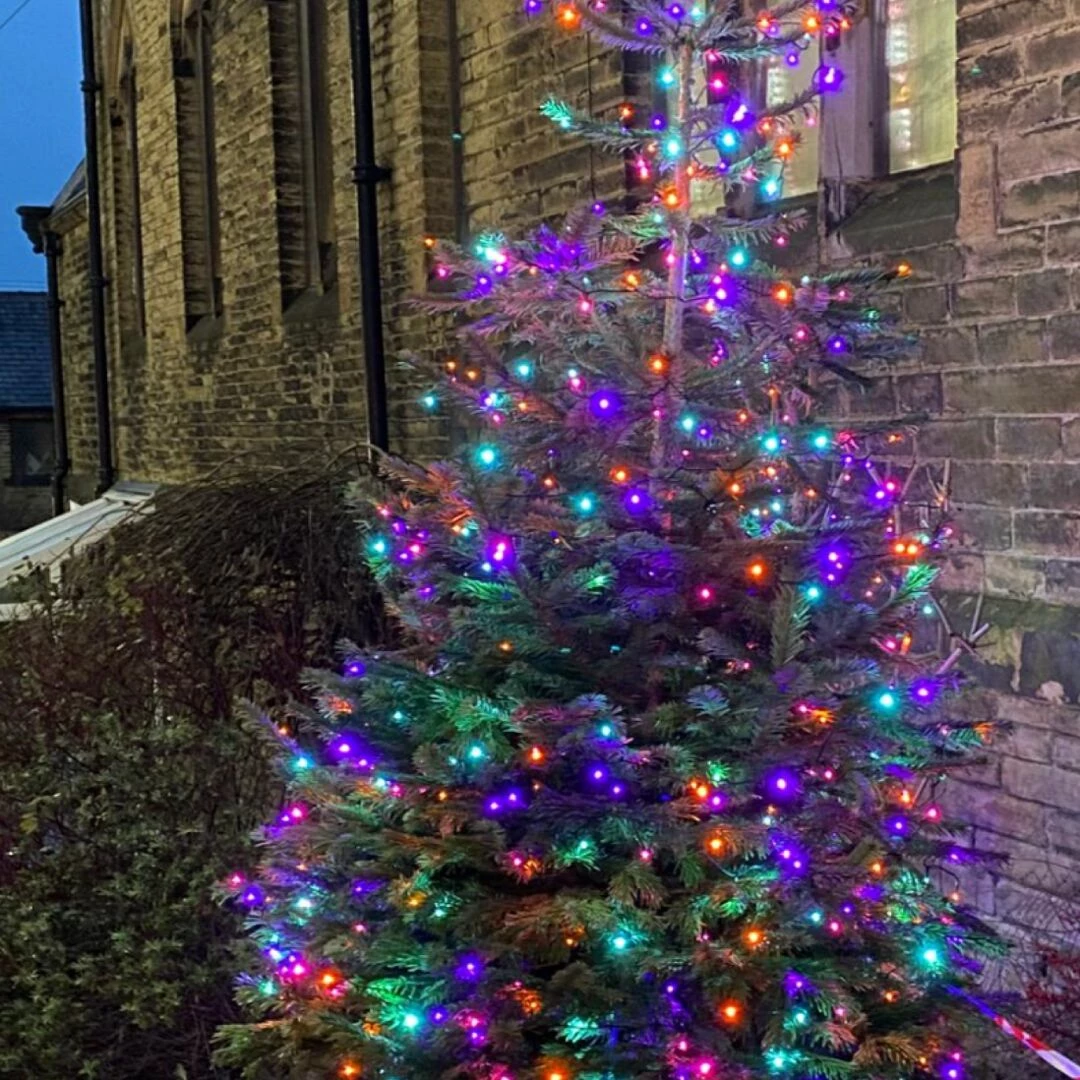 tree lightlng 5