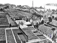 tree nursery image