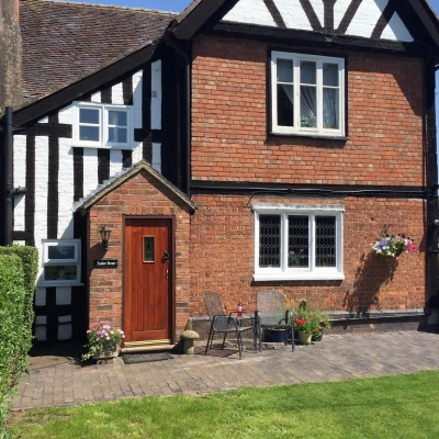 tudor rose 2