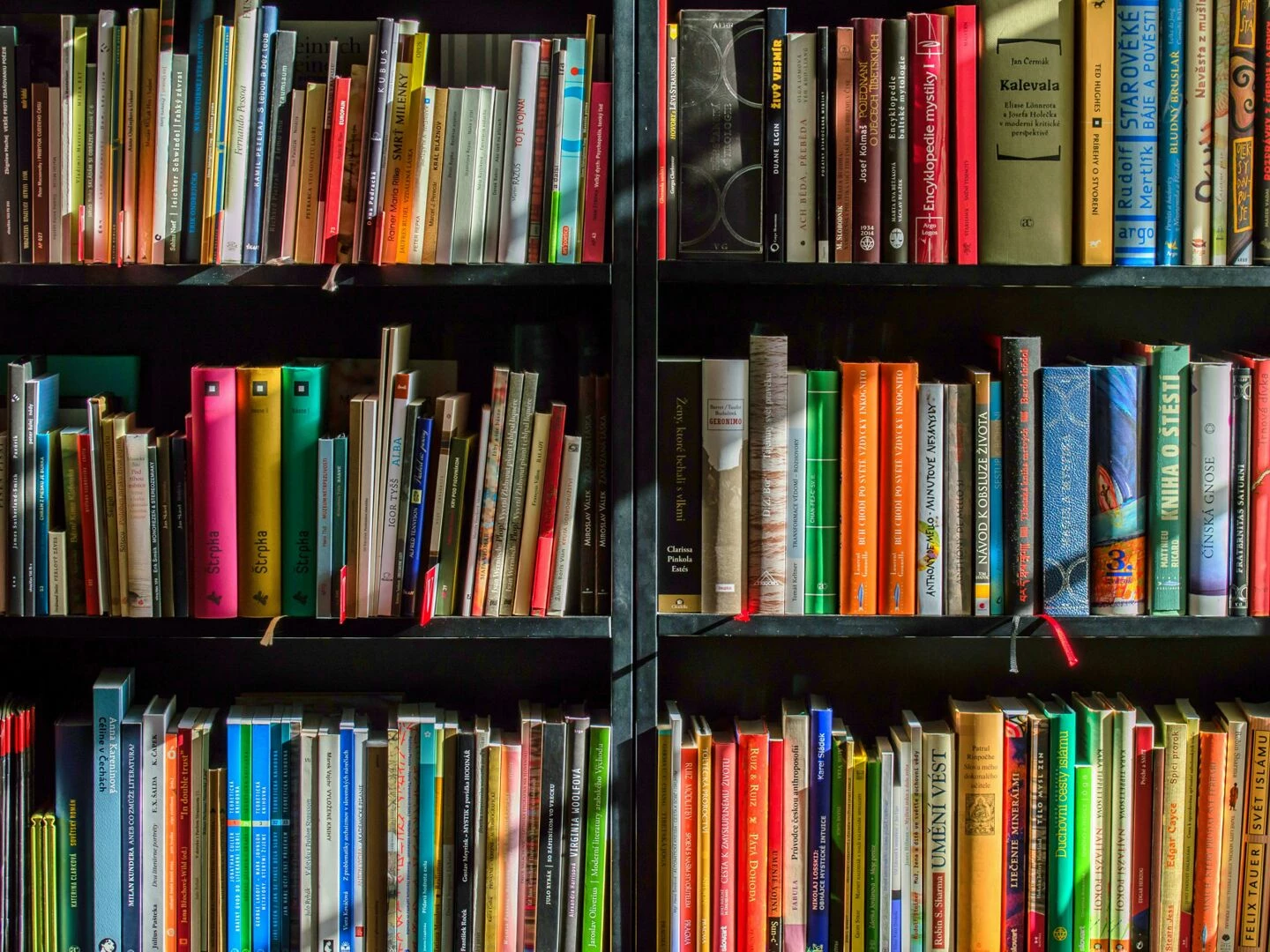 vibrant collection of books on shelves for reading research and education