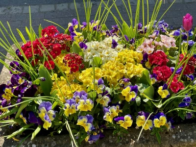 village flowers