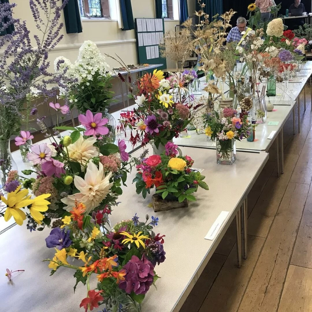 village show