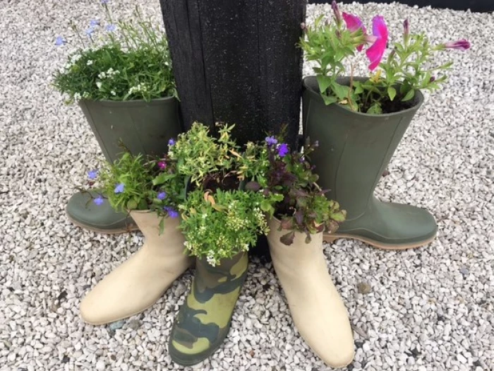 wellies 2