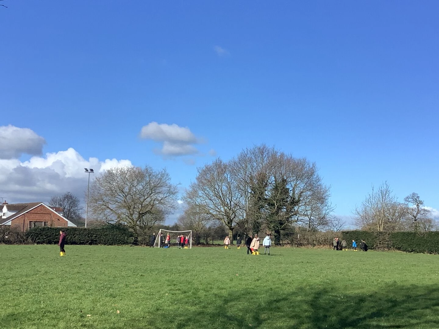 wellies 4