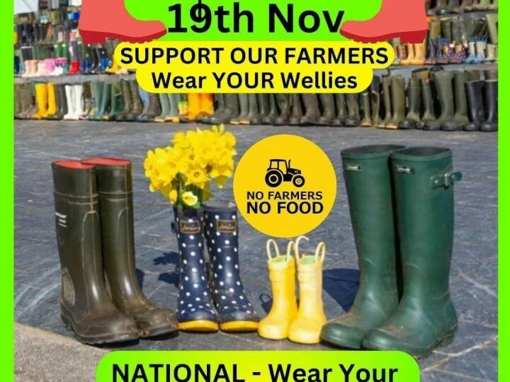 wellies