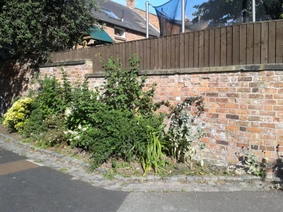 wells cottages garden