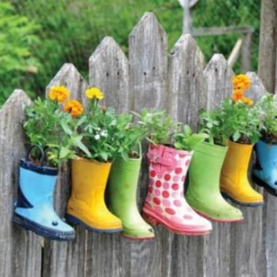 welly walk 4