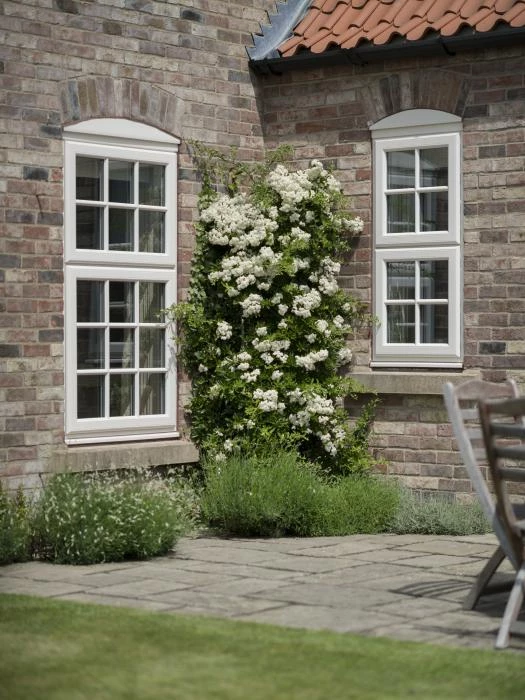 white upvc windows with grey walls and white bush