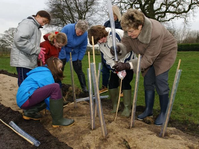 wi assisting kids hedge planting
