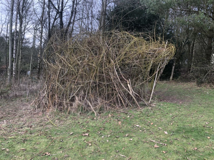 willowhousefeb23jpeg