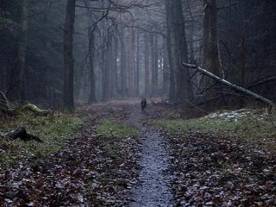 winter dark days
