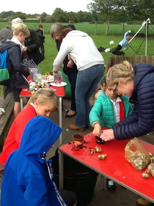 wrenbury primary schoolimage