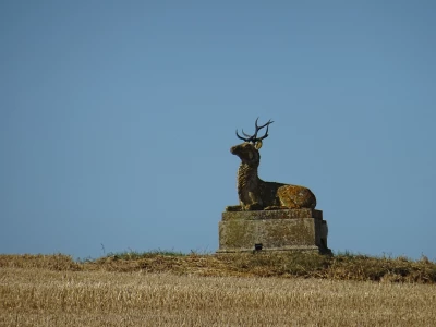 wychert wayimage
