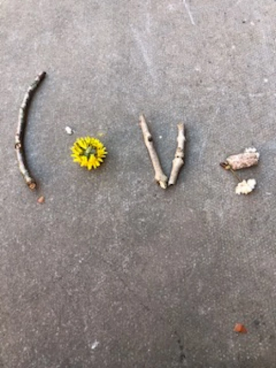 x