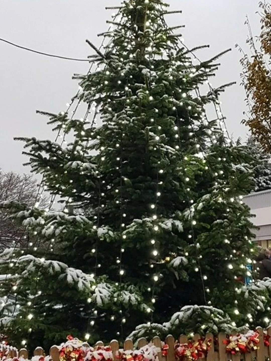 xmas tree 2