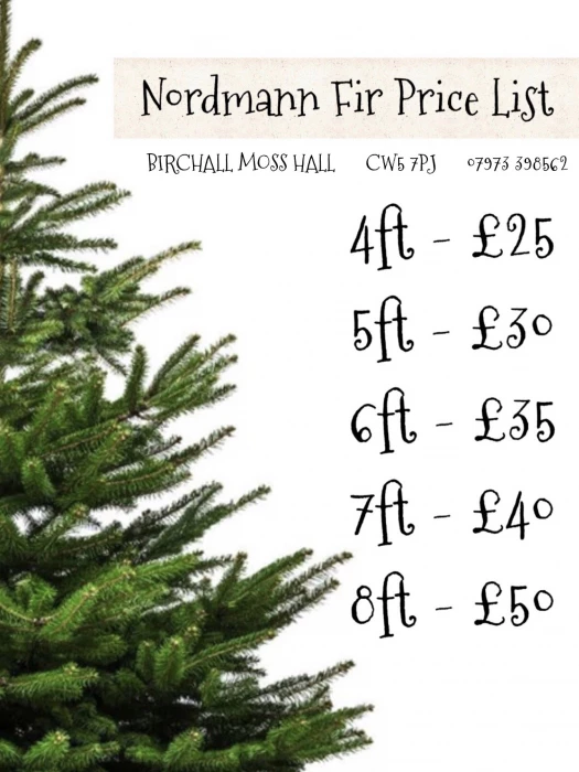 xmas trees