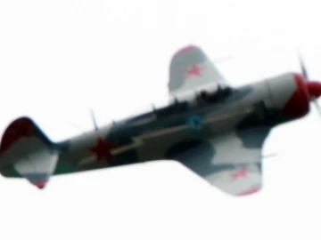 yak