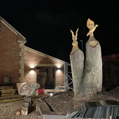 youth room and garden at night