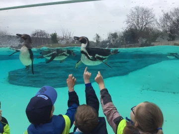 zoo