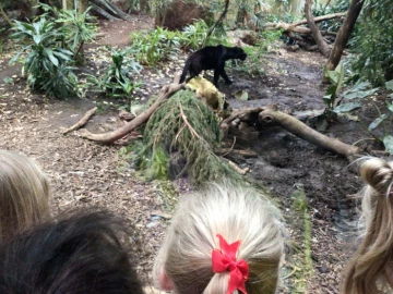zoo